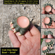 Lizard Claw Reptile Water Basin Food Dish for Terrariums